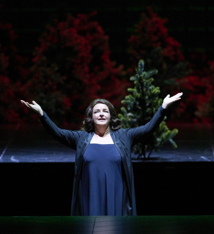 Brünnhilde, Götterdämmerung, Wiener Staatsoper