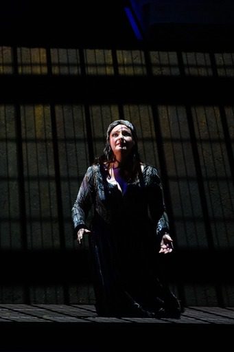 Frau ohne Schatten, Färberin