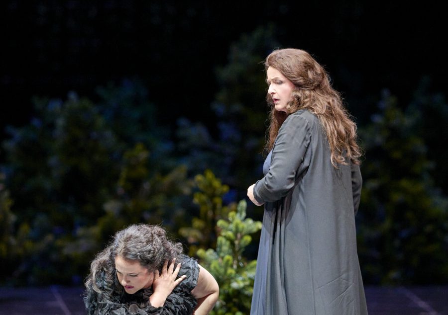 Brünnhilde, Götterdämmerung, Wiener Staatsoper