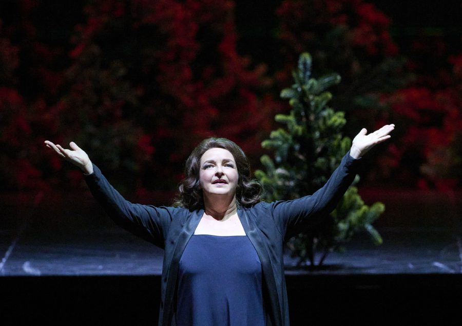 Brünnhilde, Götterdämmerung, Wiener Staatsoper