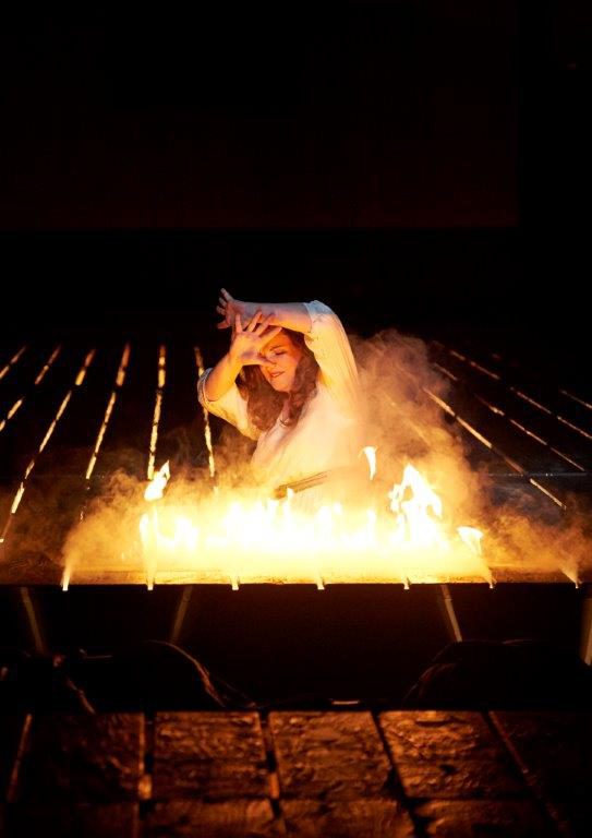 Der Fliegende Holländer, Senta, Wiener Staatsoper